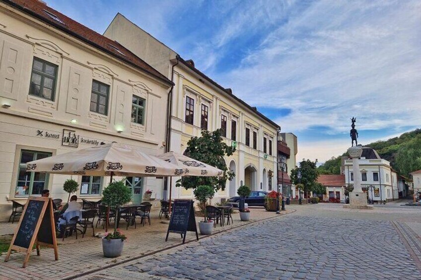 Day Boat trip and City Tour in Tokaj Hungary with Wine Tasting 