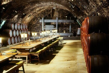 Day Boat trip and City Tour in Tokaj Hungary with Wine Tasting