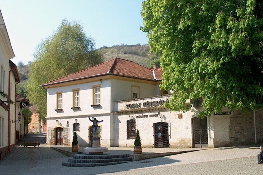 Day Boat trip and City Tour in Tokaj Hungary with Wine Tasting 