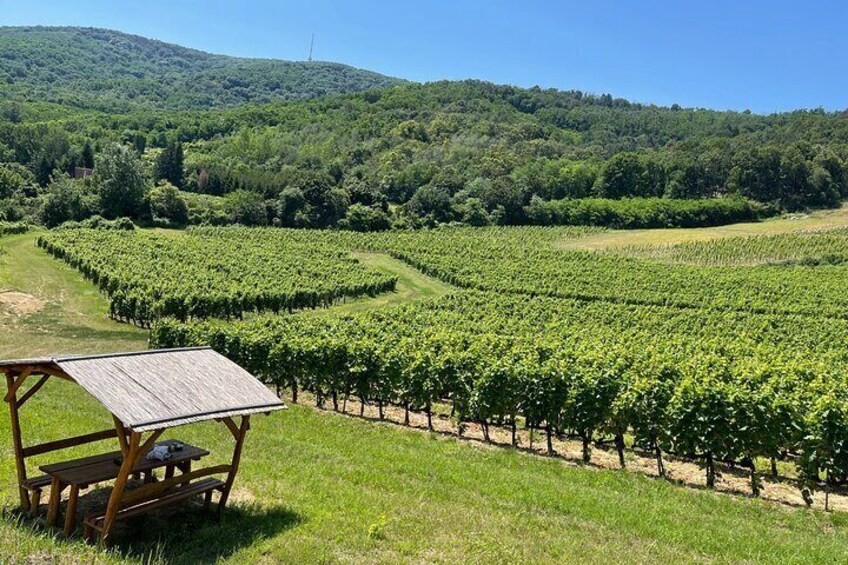 2 day Boat Trip and City Tour in Tokaj Hungary with Wine Tasting