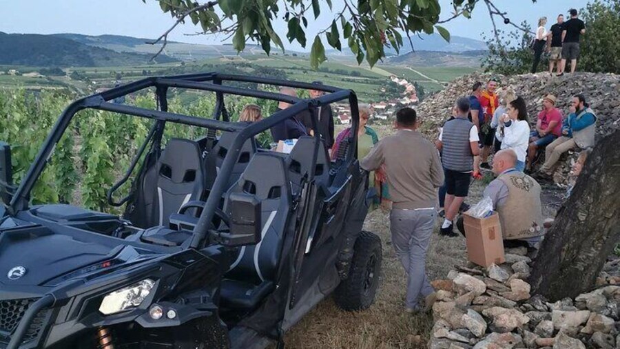 Half Day Shared Wine Tasting Tour in Mád Village