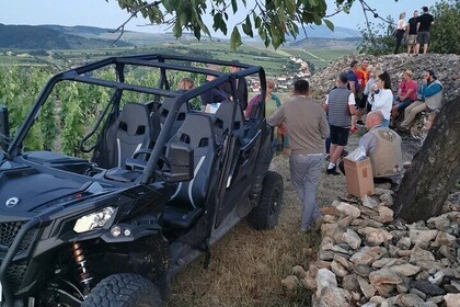 Half Day Tokaj Wine Tasting Tour in Mád Hungary with lunch