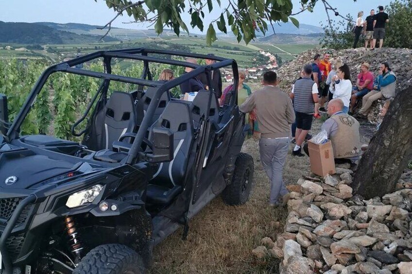 Half Day Shared Wine Tasting Tour in Mád Village