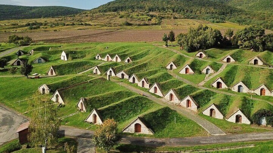 2 Day UNESCO World Heritage Wine Tour in Tokaj Hungary with Food