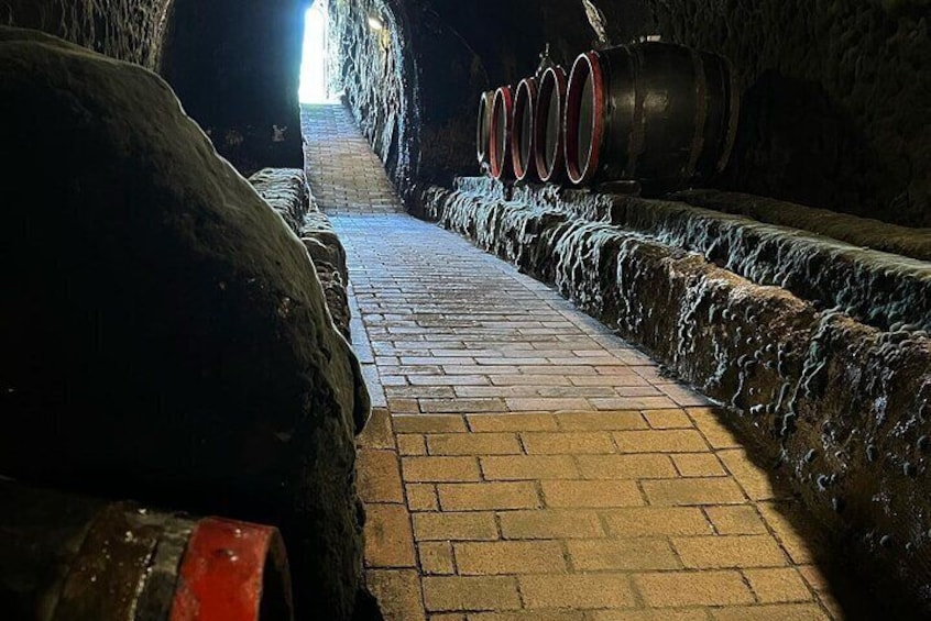 2 Day UNESCO World Heritage Wine Tour in Tokaj Hungary with Food