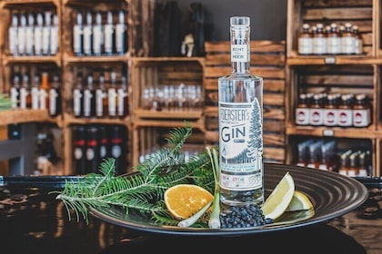 One hour gin experience course