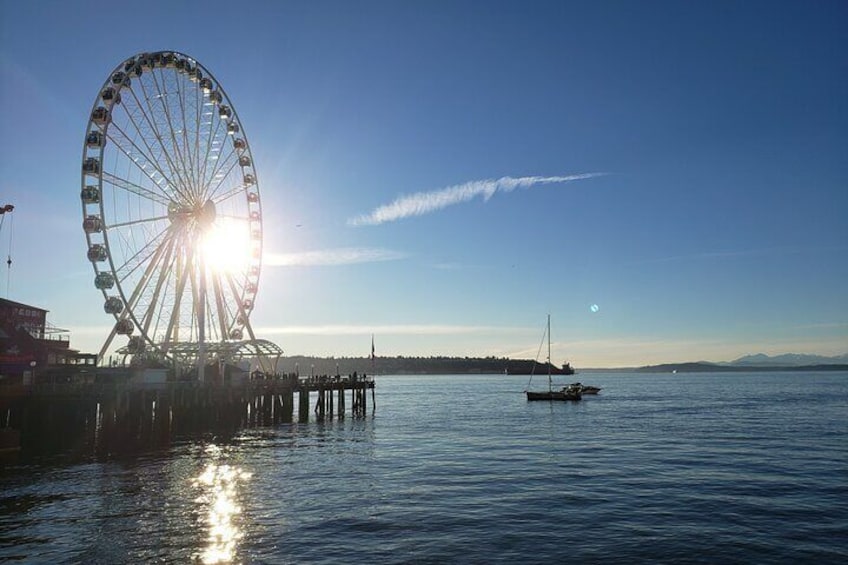 Seattle City and the Verdant Landscapes of Washington State