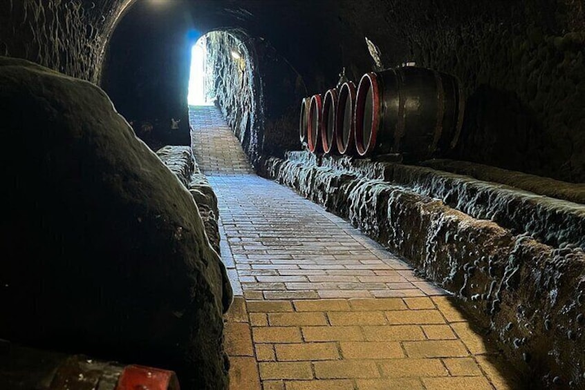 UNESCO World Heritage Wine Day Tour in Tokaj Hungary with Food