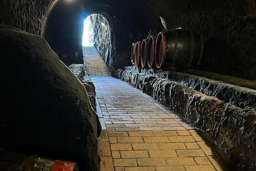 UNESCO World Heritage Wine Day Tour in Tokaj Hungary with Food