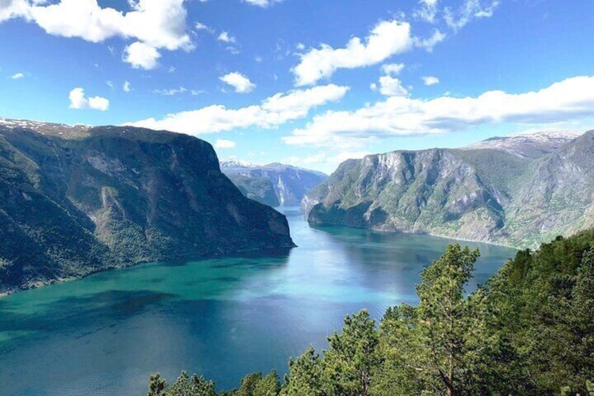 Private guided tour - Premium Nærøyfjord Cruise and Flåm Railway