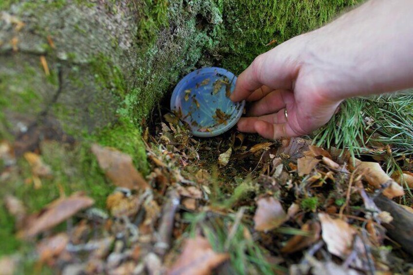 Find the treasures along the hiking trail.