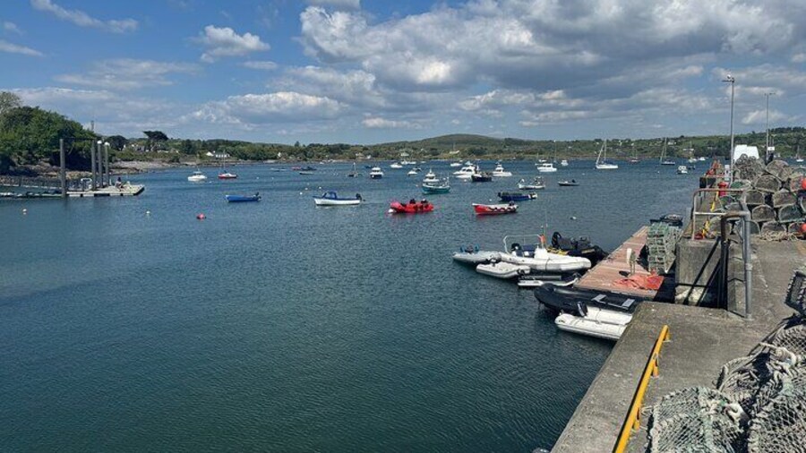 Schull