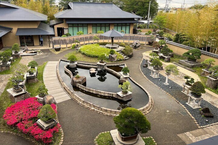 Private Omiya Bonsai Village Tour with Licensed Guide 