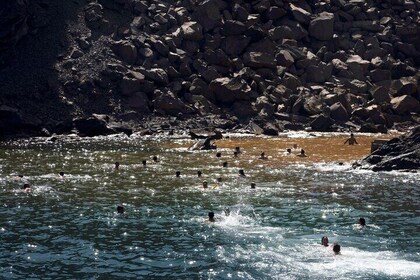 Half Day trip- Volcano and Hot springs