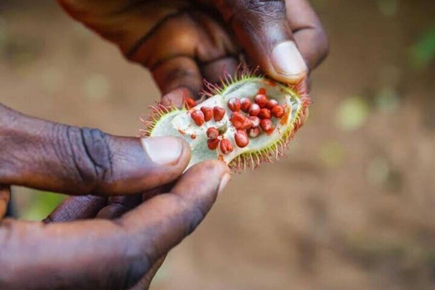 Zanzibar: Walking Spice Tour with Guide