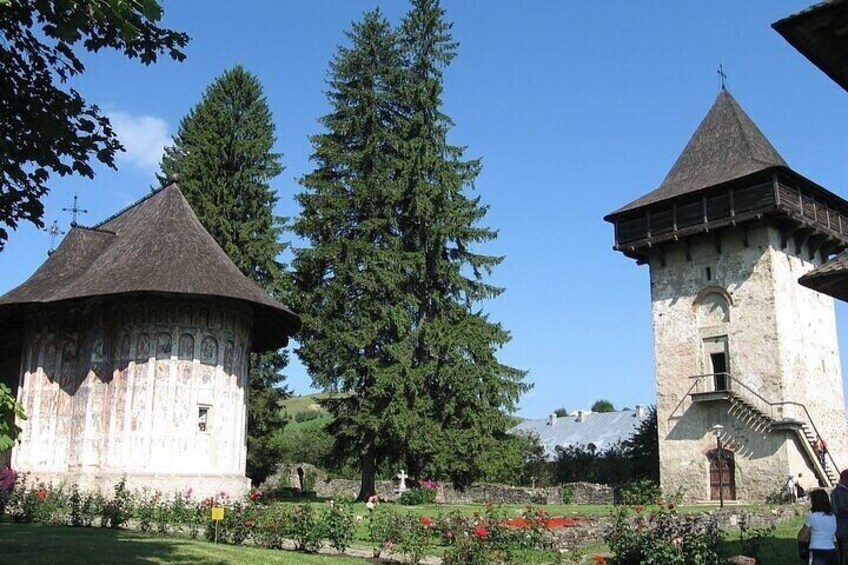 Bucovina Painted Monasteries Day Tour