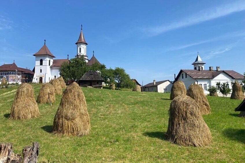 Bucovina Painted Monasteries Day Tour