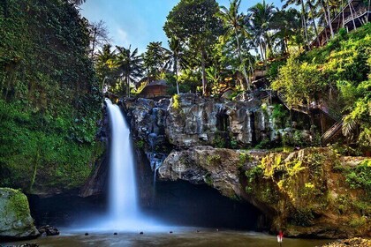 Bali Full-Day Car Charter: Waterfall and Ubud Destination Trip