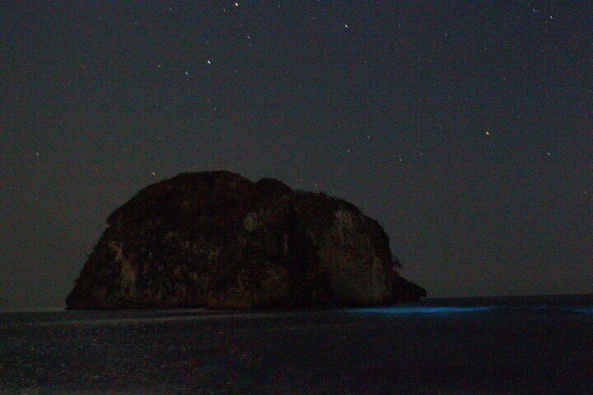 Bioluminescence & sunset/sunrise boat tour to Los Arcos Sanctuary