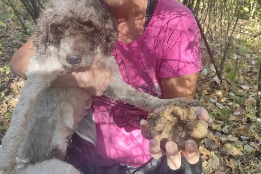 Private Guided Truffle Hunting Tour in Serbia with Brunch