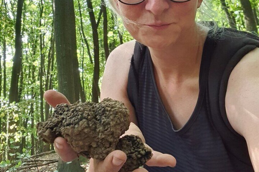 Private Guided Truffle Hunting Tour in Serbia with Brunch