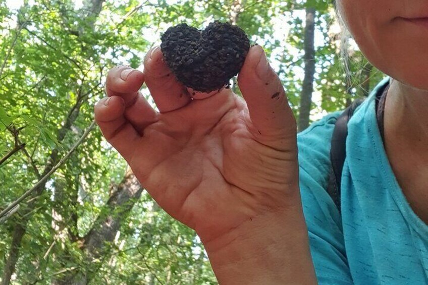 Private Guided Truffle Hunting Tour in Serbia with Brunch