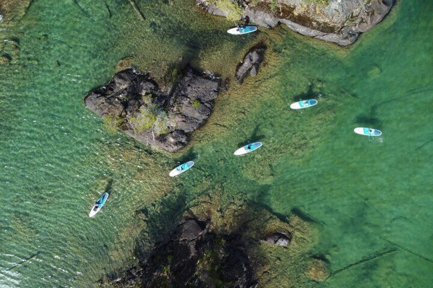 1.5 -Hour Guided Paddleboard the pristine waters of Cowichan Lake