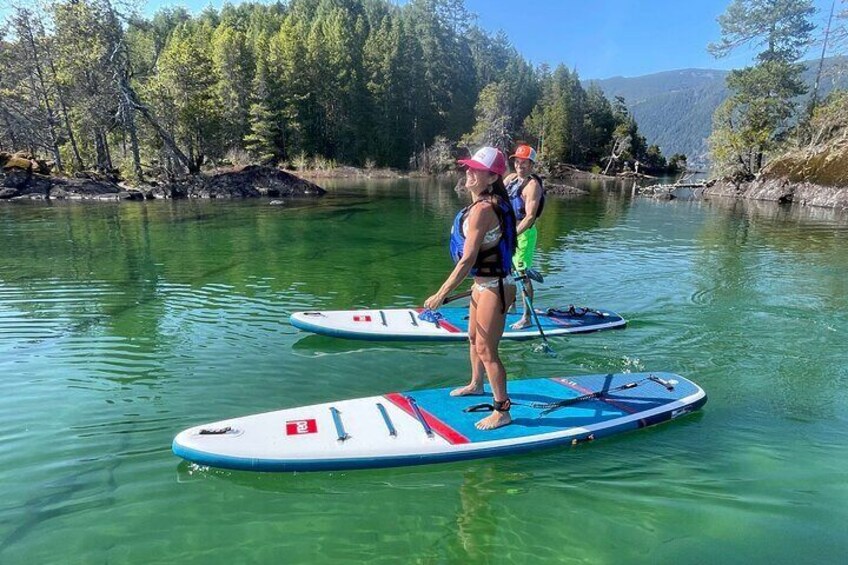 2-Hour Guided Paddleboard the pristine waters of Cowichan Lake