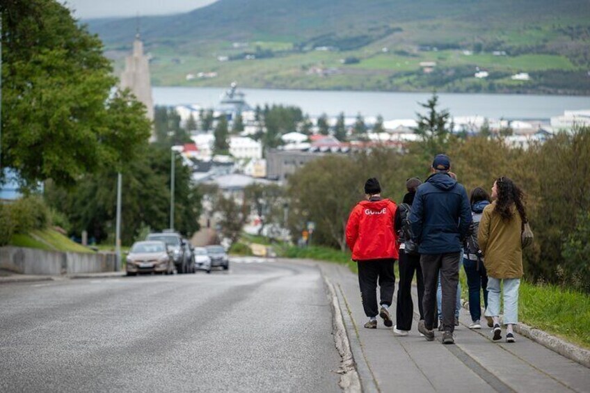 City Walk and Local Cuisine From Akureyri