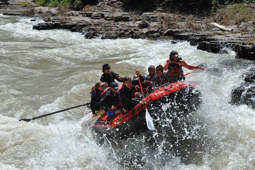 Picture 4 for Activity Jackson: Snake River Class 2-3 Whitewater Rafting Adventure