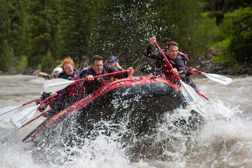 Jackson: Snake River Class 2-3 Whitewater Rafting Adventure