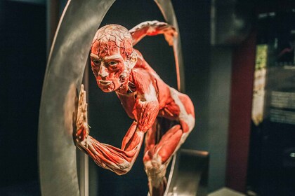 ไฮเดลเบิร์ก: ตั๋วเข้าชมพิพิธภัณฑ์ BODY WORLDS