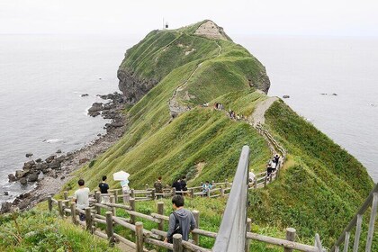 Cape Kamui Shakotan Day Tour in Hokkaido