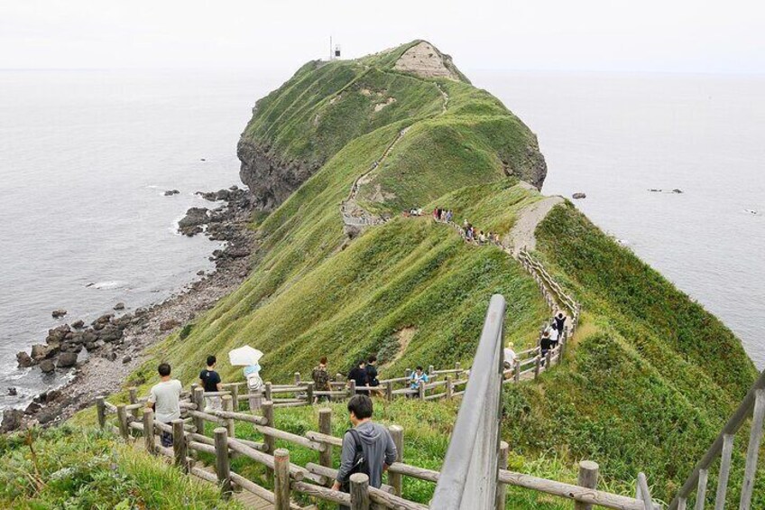 Cape kamui Shakotan Day Tour | Hokkaido