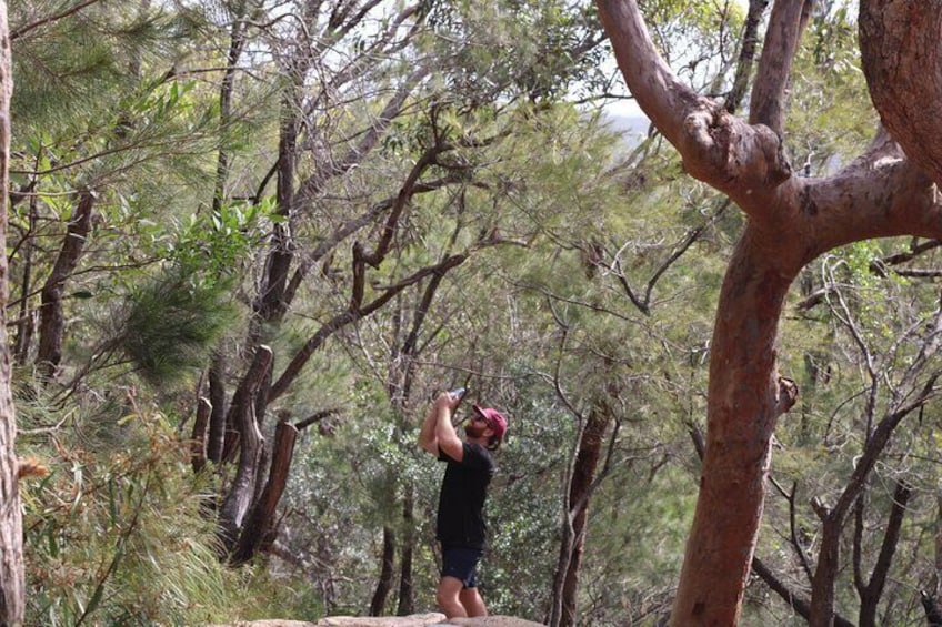 Port Stephens Winter Adventure from Newcastle