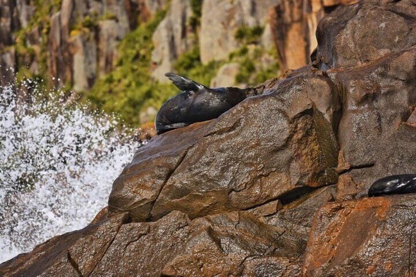 Port Stephens Winter Adventure from Newcastle