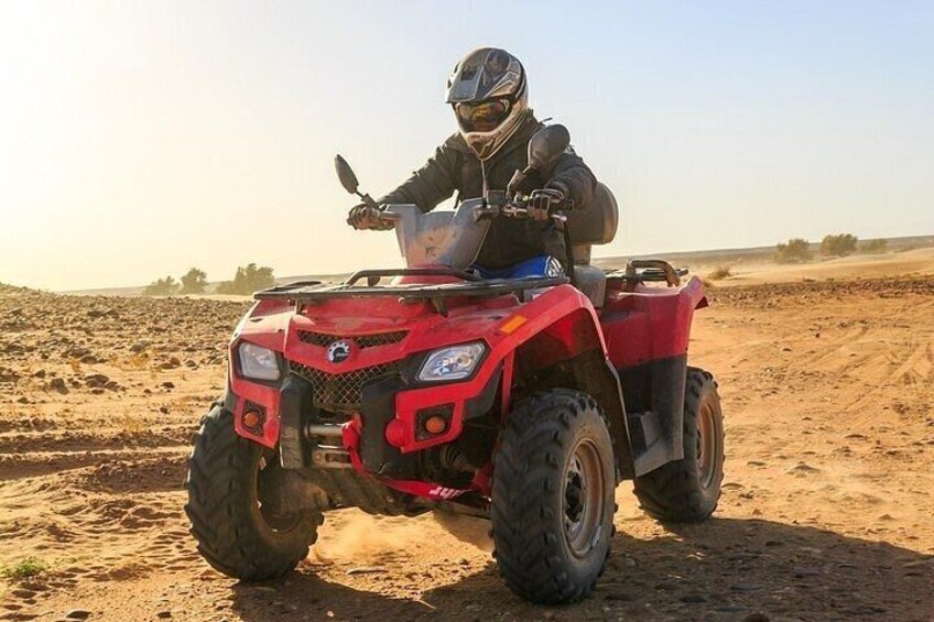 Quad Safari from Side