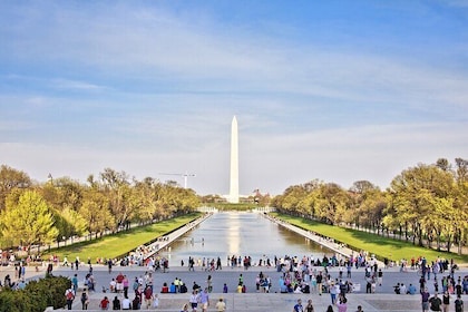 Guided Tour of The National Mall Memorials