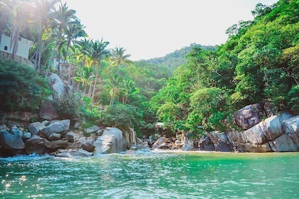 Coastal and Jungle Hiking Tour along 6 Beaches of Puerto Vallarta