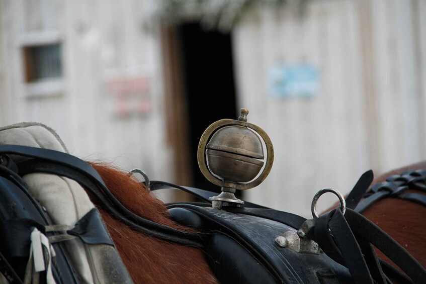 Picture 2 for Activity Levi, Polar Lights Tours: One Horse Open Sleigh Ride