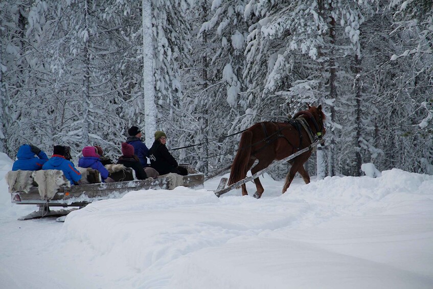 Picture 3 for Activity Levi, Polar Lights Tours: One Horse Open Sleigh Ride