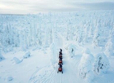 Levi: Levi: Forest Snowmobile Safari