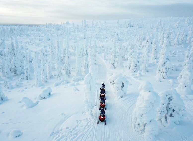 Levi: Easy Snowmobile Safari into the Nature