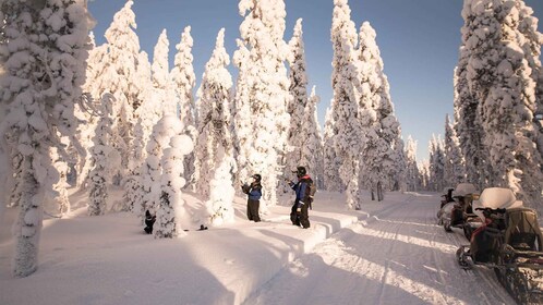 ลีวาย: ซาฟารีสโนว์โมบิล 4 ชั่วโมงสู่เนินเขาในลีวาย