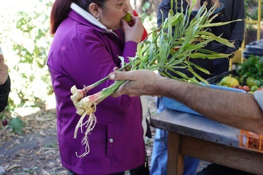 The Regenerative Farm and Sommelier Wine Tour