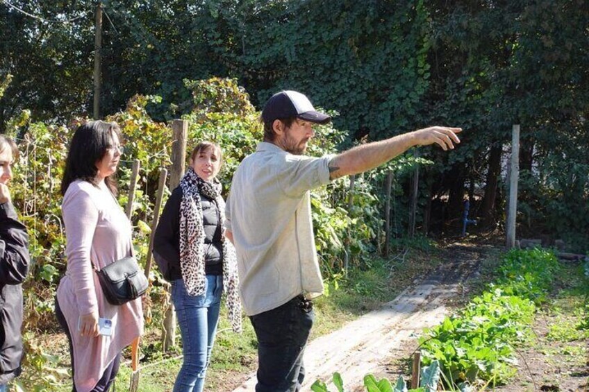 The Regenerative Farm and Sommelier Wine Tour