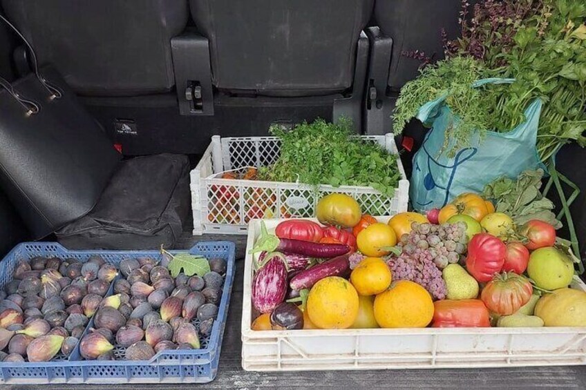 The Regenerative Farm and Sommelier Wine Tour