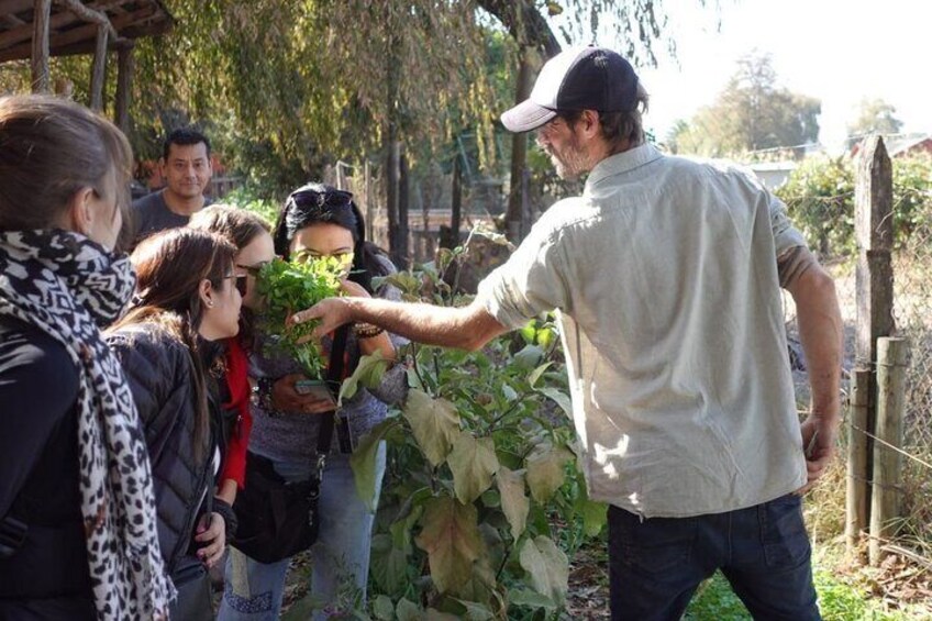 The Regenerative Farm and Sommelier Wine Tour