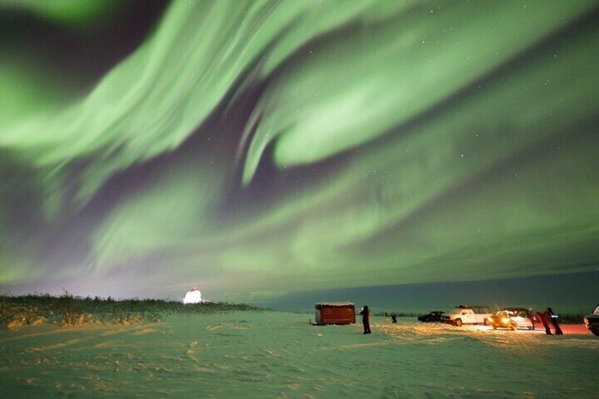 1 Day Shared Tour Arctic Circle and Aurora Viewing in Alaska