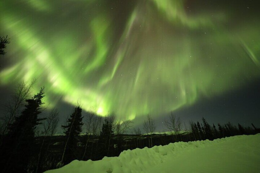 1 Day Shared Tour Arctic Circle and Aurora Viewing in Alaska